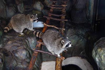 Прикрепленное изображение: IMG_6883.jpg